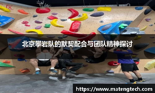 悟空体育平台